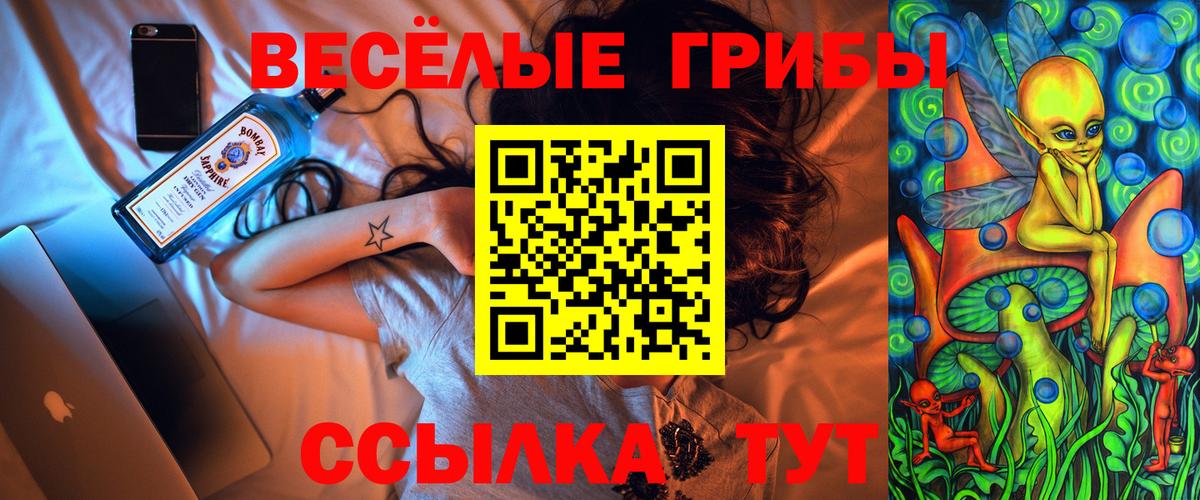 где найти наркотики  Псилоцибиновые грибы GOLDEN TEACHER  Вход с VPN  Нижний Тагил 