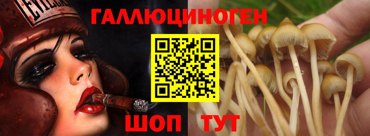 Псилоцибиновые грибы мухоморы Нижний Тагил